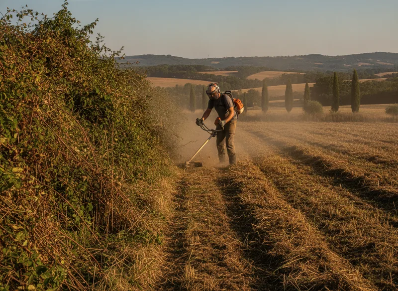 Débroussaillage mécanique d'un terrain en friche en Haute-Garonne